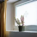 Apartma Sejalec, - Bled Lesce (Upper Carniola)