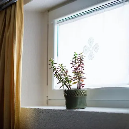 Apartma Sejalec, - Bled レスツェ