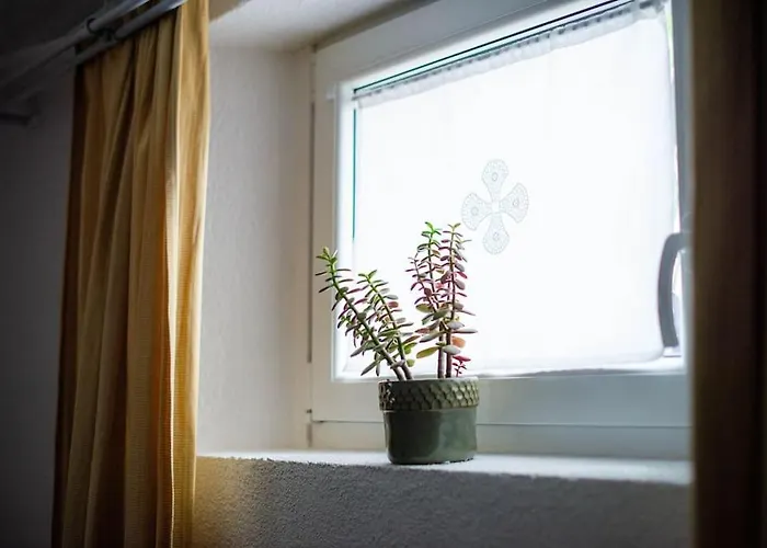 Apartma Sejalec, - Bled Лешче